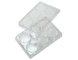 6-Well Treated Cell Culture Plate with Lid; 100/cs