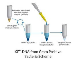DNA FROM GRAM BACTERIA 25ML