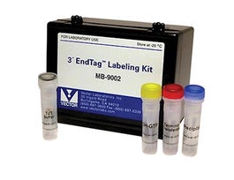 3' Nucleic Acid Labeling Kit