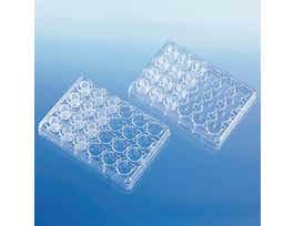 BRANDplates cellGrade plus, Insert Strips with Inlet Channel, Polycarbonate Membrane, 3.0m, 13 mm; 12/PK